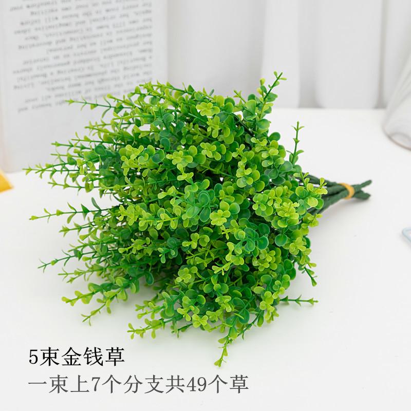 _X8A7453_副本_副本