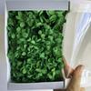 Hortensia de madera Flor eterna Rosa eterna central Caja de regalo Cubierta de vidrio Material de la flor Material de la flor preservada Material de la flor eterna