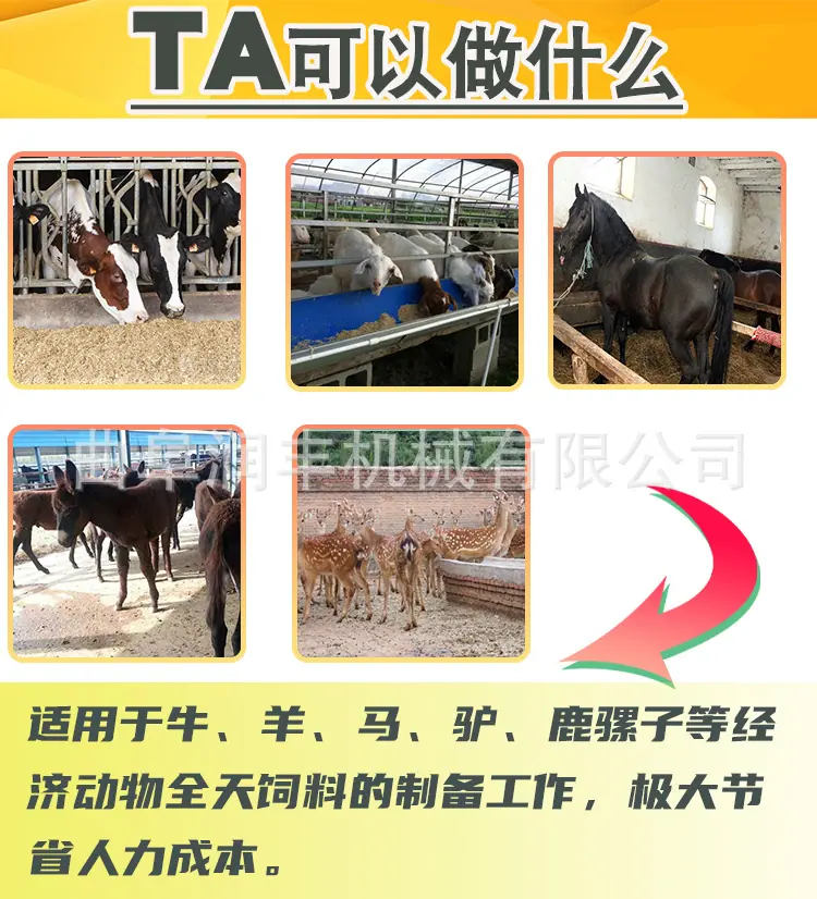 TMR搅拌机