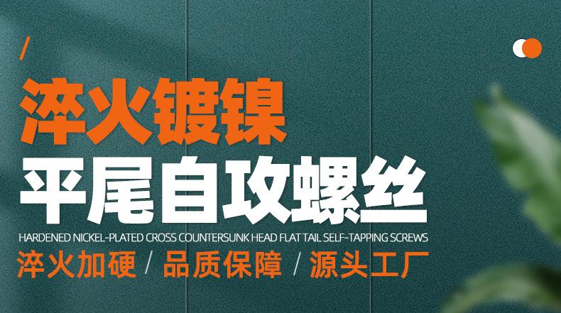 淬火镀镍十字沉头平尾自攻螺丝_01_01.jpg