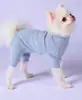 Estampa de padrão para roupas de pet molde de roupa de cachorro calça de quatro pernas modelo de amostra impressão de roupa de pet