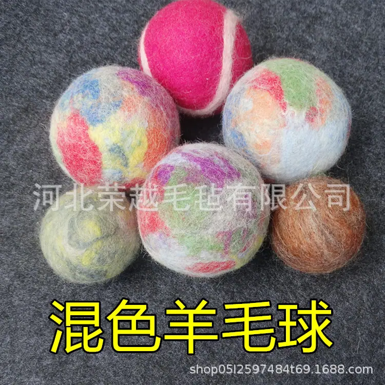 DSC06819_副本.jpg