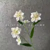 5 Flores de Magnolia Artificiales para Arreglo Floral en Salón de Banquetes de Boda, Decoración para Fotografía al Aire Libre, Venta al por Mayor de Flores Artificiales Transfronteriza, Ecológico