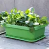 Maceta Grande para Verduras de Balcón Cebollín Cilantro Cebollín Pequeño Caja de Plantación Interior Maceta Grande Rectangular Gruesa de Plástico para Flores