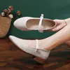 Zapatos de Tacón Alto de Estilo Chino Nuevo Zapatos a Juego para Cheongsam de Mujer Retro Estilo Antiguo de Pekín Antiguo Zapatos de Tela Bordados Estilo Han