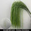 2026 Nuevo Modelo Plantas Verdes Artificiales Hierba de Espárrago Asparagus Asparaginea Decoración de Boda Flores Falsas Verdes Paisajismo Fotografía Plantas Verdes Estilo Bosque