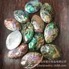 Concha de abalone de costura de um lado pingente 24x42-32x43mm pingente europeu e americano jóias concha de abalone com cor