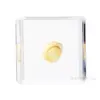 Artesanía Jingling Muestras Biológicas Acuáticas Conchas de Caracol Peces Camarones Cangrejos Regalos de Educación Científica Adornos de Resina Caja Sorpresa