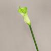 Fabricante de Lótus Ferradura Pequeno Enrolado Sintético PU Atacado Flor Sintética Flor Decorativa Flor com Toque Fornecimento Transfronteiriço Amazon