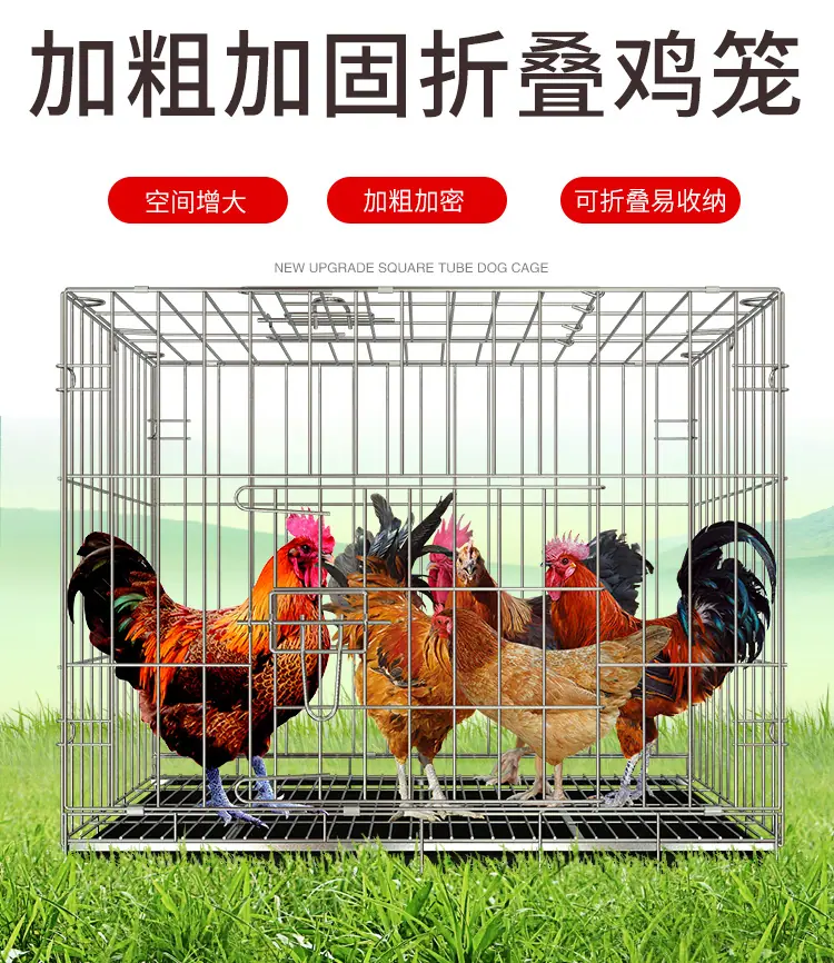 鸡笼子建模_01