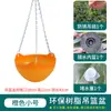 Maceta Chlorophytum para balcón, planta en maceta colgante con gancho, maceta colgante pequeña para suculentas de interior, maceta cesta colgante de plástico