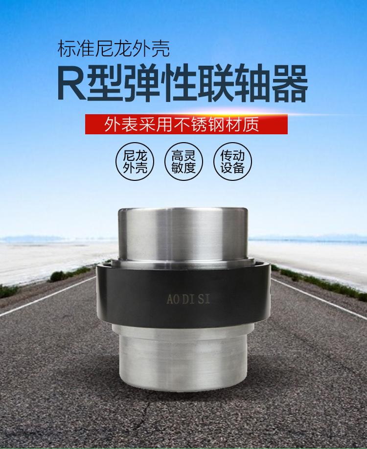 R型弹性联轴器-01.jpg