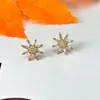 Nuevos Pendientes de Estrella de Ocho Puntas Dulces, Frescos y Modernos Estilo Ins, Diseño de Nicho, Pendientes de Lujo Ligero de Alta Gama para Mujeres
