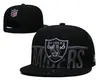 Gorra NFL 2025, gorra de béisbol, gorra de visera plana bordada, gorra de protección solar, visera grande, letras en inglés, visera ancha
