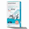 Serie de Parches Reductores de Fiebre Haishi HainuoParche Reductor de Fiebre para Enfriamiento Físico, Parche Reductor de Fiebre para Adultos y Niños