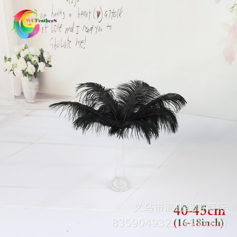 黑色 40-45cm 鸵鸟毛 1