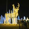 Luces LED de modelado para exteriores de Navidad carro tirado por caballos carro de ciervos parque paisajístico decoración navideña iluminación festival modelado
