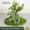 Musgo Sintético Decoración Suave para Interiores Conjunto de Micro Paisaje Combinación Exhibición en Ventana Pasillo Musgo Artificial Plantas Verdes Arreglo de Paisajismo Decoración