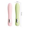 Vibrador de partículas vibratórias Queen da juventude bolha masturbação feminina carregamento USB vibração multifrequência bastão AV suprimentos para adultos