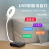 Luz Noturna Inteligente de Voz Luminária de Mesa Controle Quarto Mesa de Cabeceira Voz Artificial Controle LED Luz para Dormir USB Pequena Dimerizável