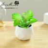 Mini Vaso Diamante Pequeno com Flor Falsa Suculenta Bonsai Criativo Ornamentos de Interior Dropshipping Planta Verde Artificial Planta Vaso
