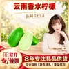 Limão Perfumado de Hainan Selecionado Cuidadosamente Compra Comercial Frutas Frescas Ingredientes / 2 Jin / 1 Jin 5-7 Frutas Frescas