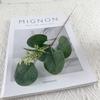 Ventas Directas de Fábrica Hojas de Eucalipto Simuladas Hojas de Dinero para Bodas Arreglo Floral de Mesa Hojas de Eucalipto Artificiales Exhibición Decorativa Individual