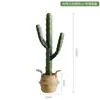 Cactus Falso Simulado Planta Verde en Maceta Florero Decorativo Adornos Pared de Fotos Fondo Simple Planta del Desierto Bonsái