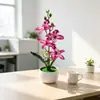Venda Quente Transfronteiriça Quatro Orquídeas Phalaenopsis Flor Artificial Planta em Vaso Flor Artificial Criativa Bonsai Planta Verde para Casa Ornamento Decoração Suprimentos
