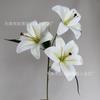 Casamento Casamento Perfume 3D Lírio Flor Artificial Decoração Sala de Estar Casa Arranjo de Flores Adereços de Fotografia para Ensaio Externo Flores Artificiais