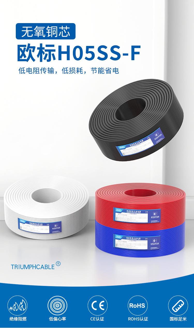 H05SS-F_01.jpg