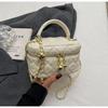 Bolso de Diseño de Nicho con Bordado Lingge 2025 Nuevo Bolso para Mujer Popular Explosivo Bolso Cruzado con Cadena Bolso Cuadrado Pequeño Portátil