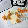 Flor Artificial Lírio-da-chuva de Galho Longo Decoração de Salão de Casamento Flor Colocação na Sala de Estar Adereços de Fotografia Fabricante Flores Artificiais Atacado
