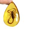 Colgante de Ámbar con Espécimen de Insecto Real Ámbar Insecto Gota de Agua con Forma de Insecto Escorpión Mariposa Abeja Flor Ámbar Transmisión en Vivo Venta al por Mayor