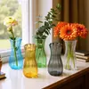 Vaso Estilo Europeu com Acabamento de Alto Padrão, Ornamento de Arranjo Floral, Vaso de Vidro de Alto Valor Estilo Ins para Flores e Plantas Hidropônicas