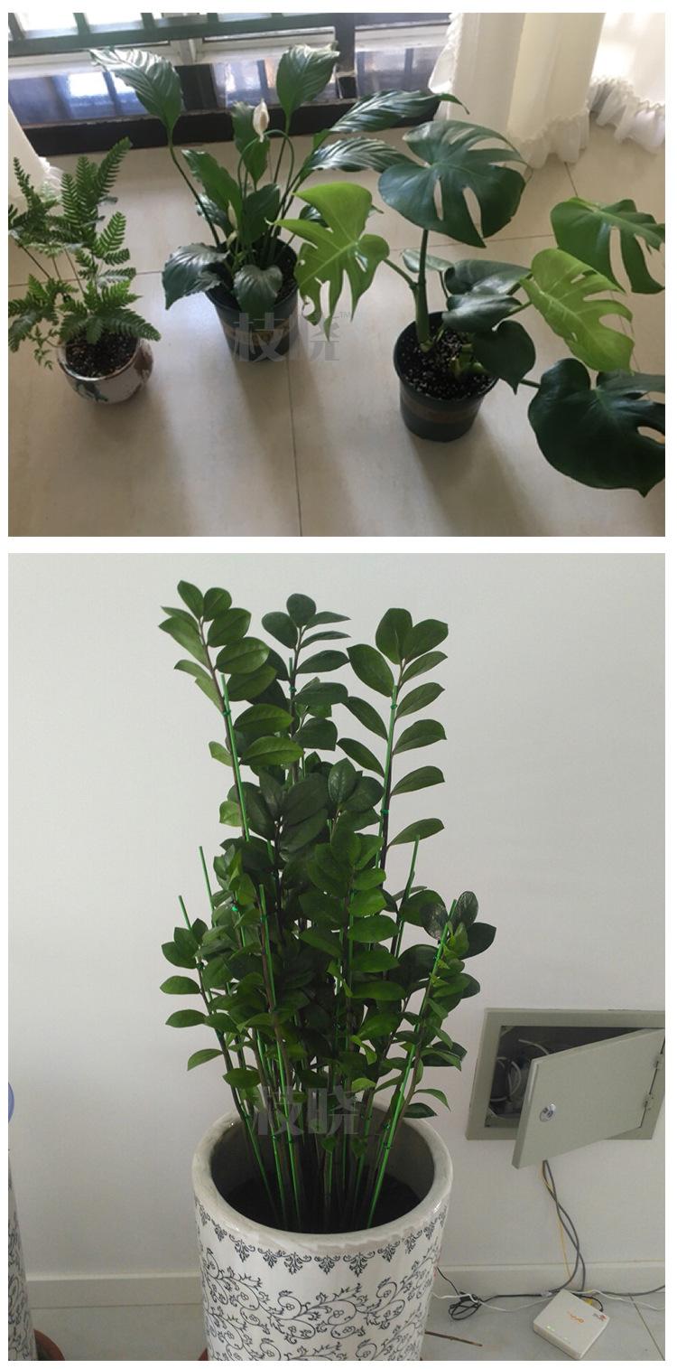 兰花支架_09.jpg