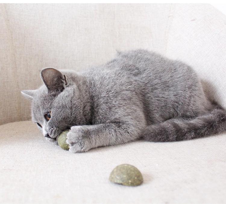 猫薄荷球6.jpg