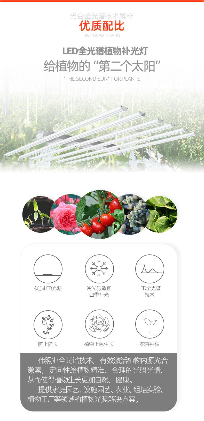 吉光详情页_06.jpg