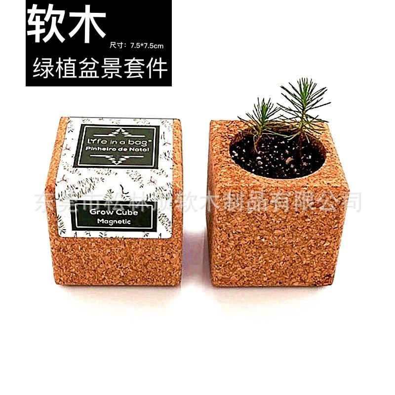 软木盆景绿植套件