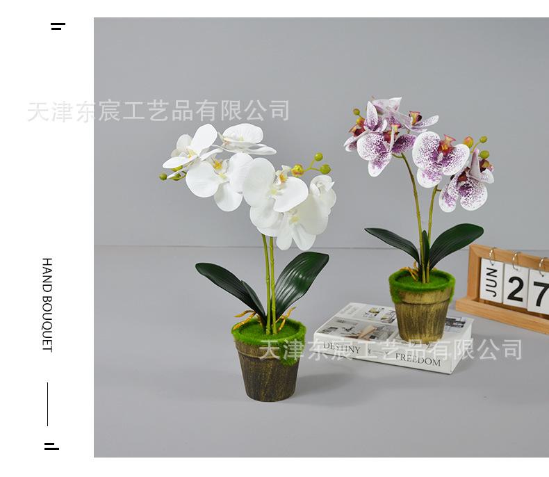 详情_11.png