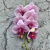 Véspera de Ano Novo flor bênção balde Rosa Phalaenopsis 7-cabeça phalaenopsis casamento casa mão segurando flor falsa decorativa atacado