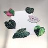 Tyct003 Patrón de Hoja de Planta Verde Transfronterizo Imán para Refrigerador Acrílico Decorativo Imán Decorativo