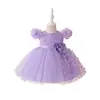 Ropa Infantil Transfronteriza Vestidos para Niñas Falda Tutú de Malla Bebé Vestido para Bebé de un Año Vestido de Boda Mariposa Vestido de Princesa Venta al por Mayor