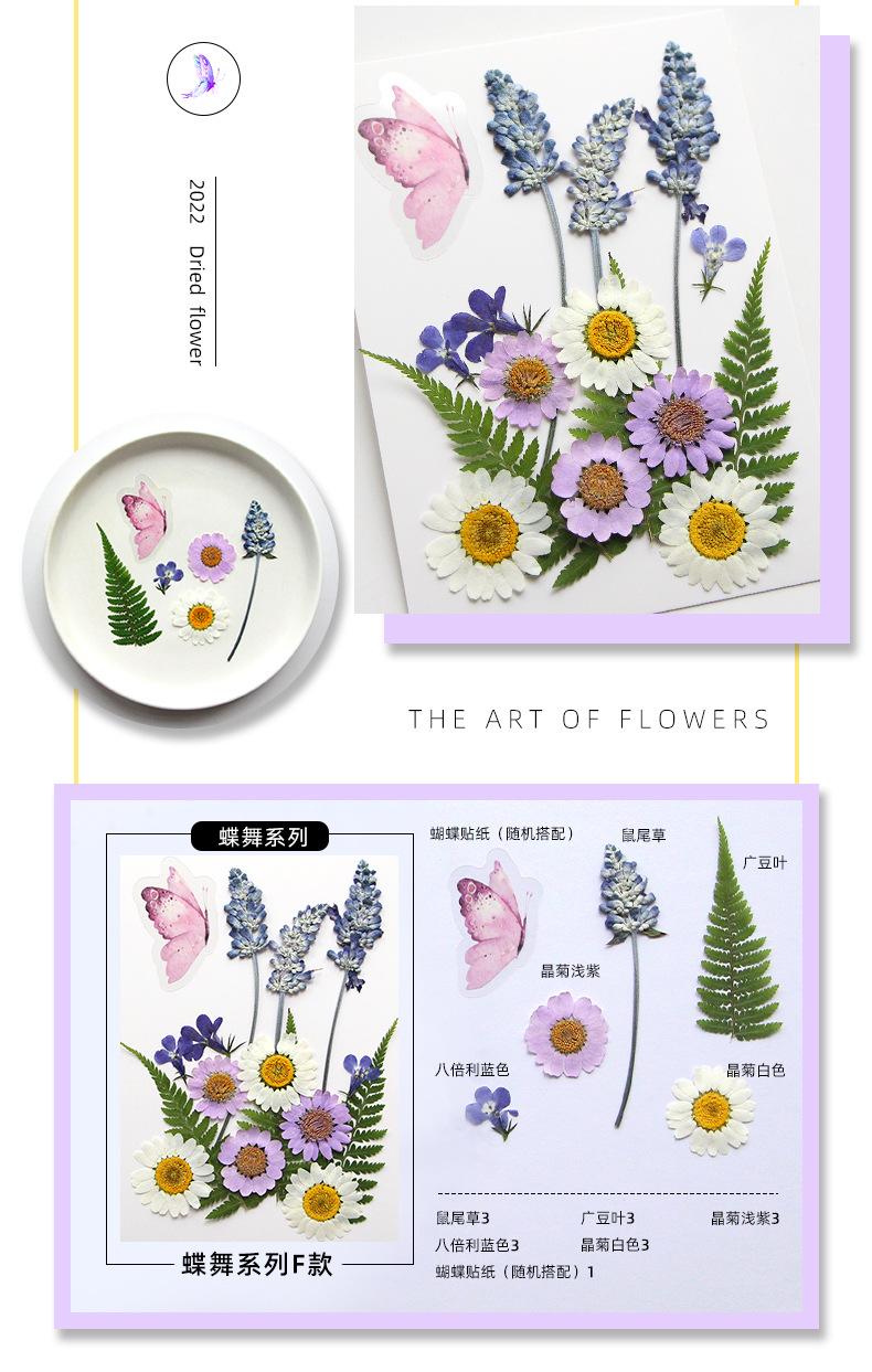 蝶舞系列详情页-恢复的_11.jpg