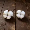 Venta al por mayor del fabricante Flores secas de algodón para la cabeza Inserciones de simulación de algodón Accesorios para el hogar Decoraciones de interiores Flor de algodón inmortal