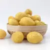 Azeitonas de Alcaçuz, Especialidade de Chaoshan, Azeitonas de Nove Sabores, Azeitonas Amarelas, Frutas Cristalizadas, Frutas Secas, Lanches Casuais para o Escritório, Lanches Nostálgicos