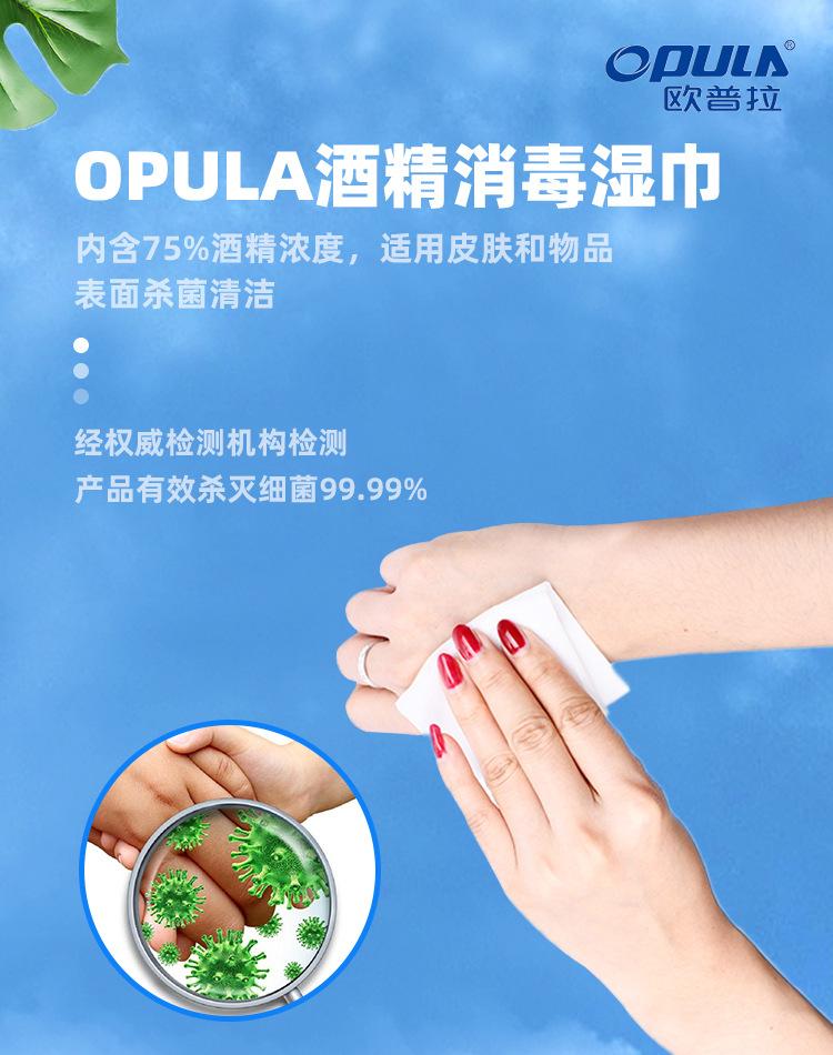 消毒杀菌抑菌清洁湿巾