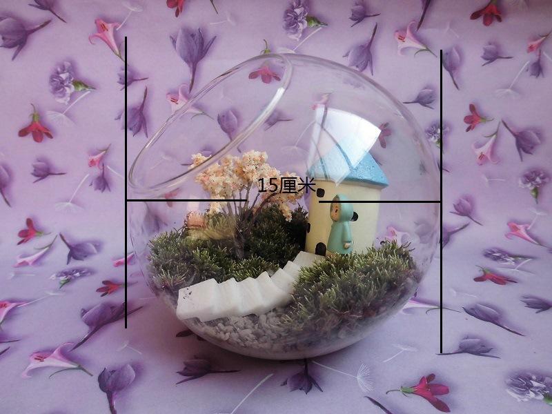 TB2sxuJbXXXXXXfXpXXXXXXXXXX_!!