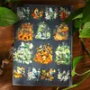 Hermoso Día Pegatinas para Mascotas Serie Canto de Pájaros y Casa con Flores Escenario de Jaula de Pájaros Pegatinas Decorativas DIY 30 Hojas 6 Diseños