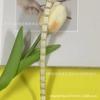 Suministro directo de fábrica estilo cinta de seda dorada y plateada de 1 cm cinta de encaje pequeña accesorios para envolver bordes de equipaje y ropa